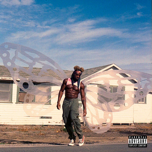 戚薇裸被啪啪视频
